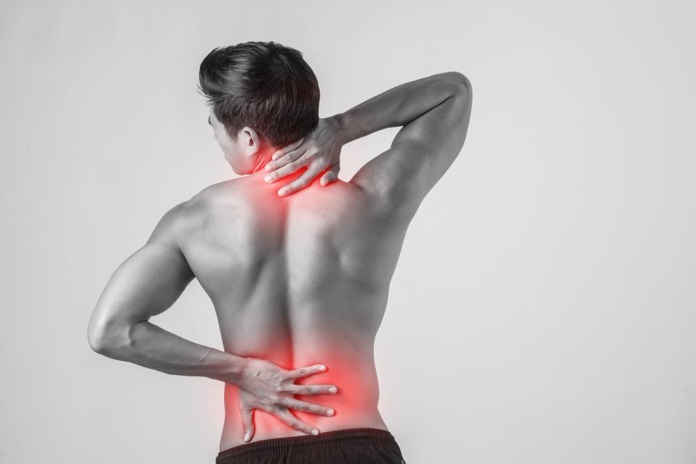 Back view showing anatomical pain points